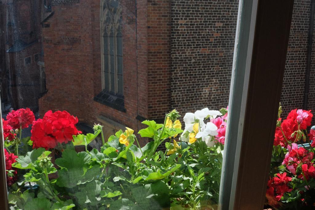 Academus Pub & Guest House Wrocław Rom bilde